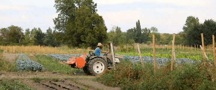 Unión de Huertas Agroecológicas de Madrid